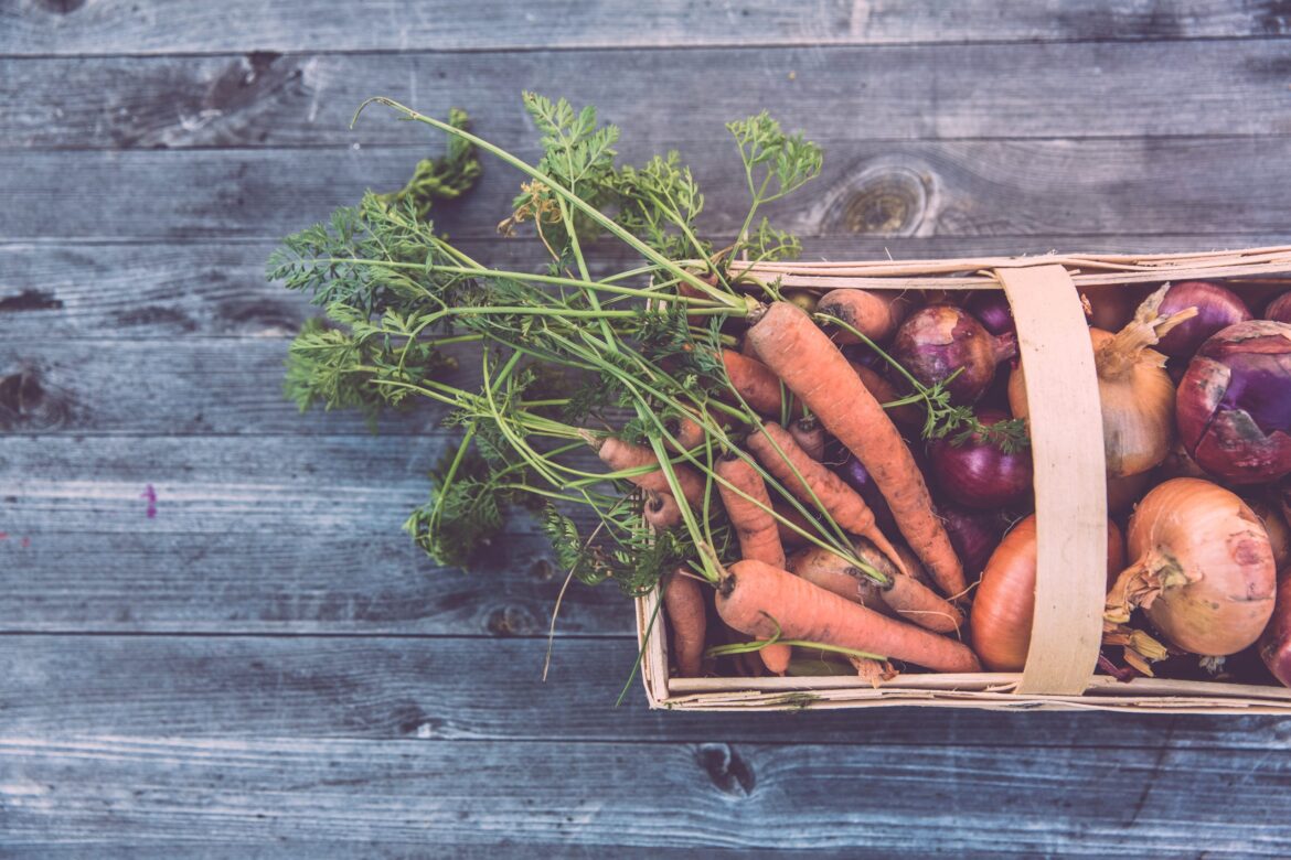 The best vegetables and flowers to plant in august. a basket with carrots, onions, radish and potatos