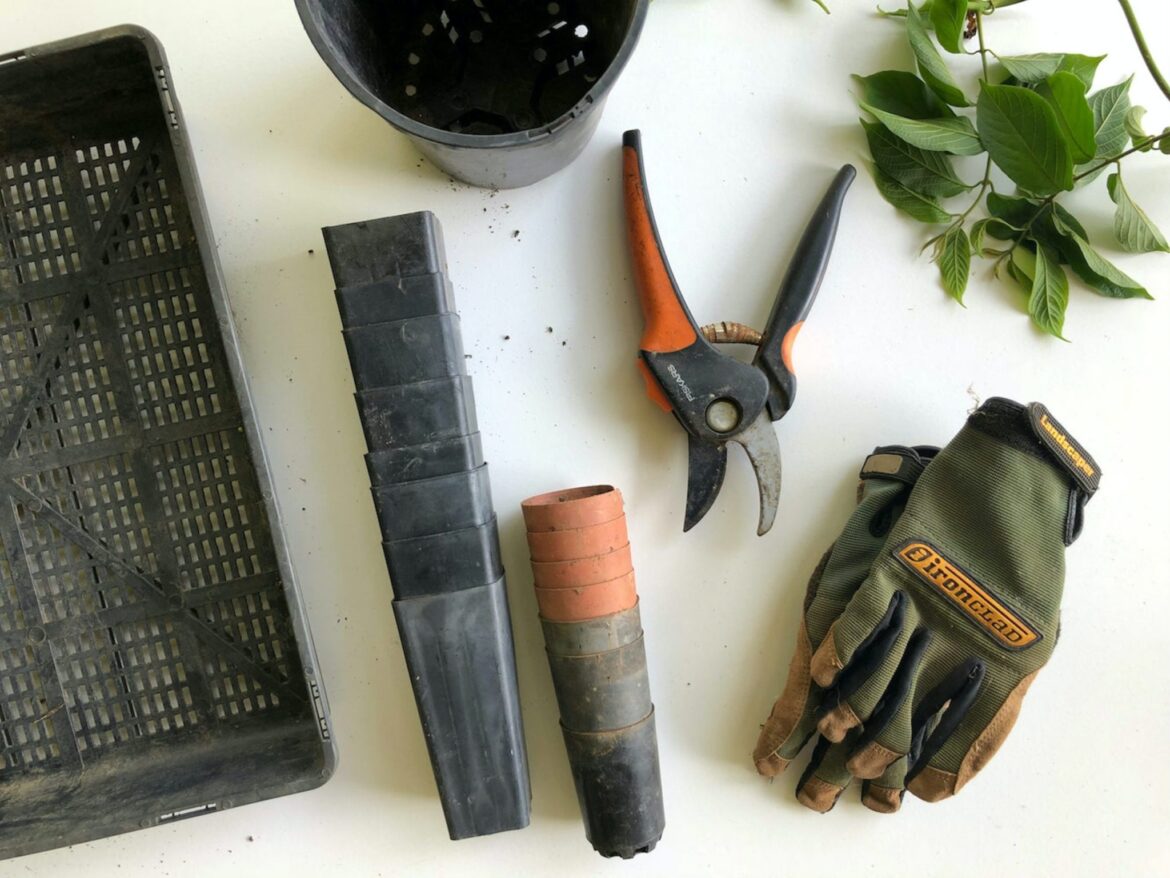 How to get your garden ready for summer, gardening tools and gloves on a white background